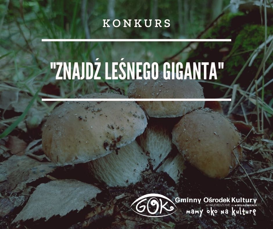Grafika przedstawia zdjęcie grzybów na tle lasu oraz napis: Konkurs, znajdź leśnego giganta. Logo GOK