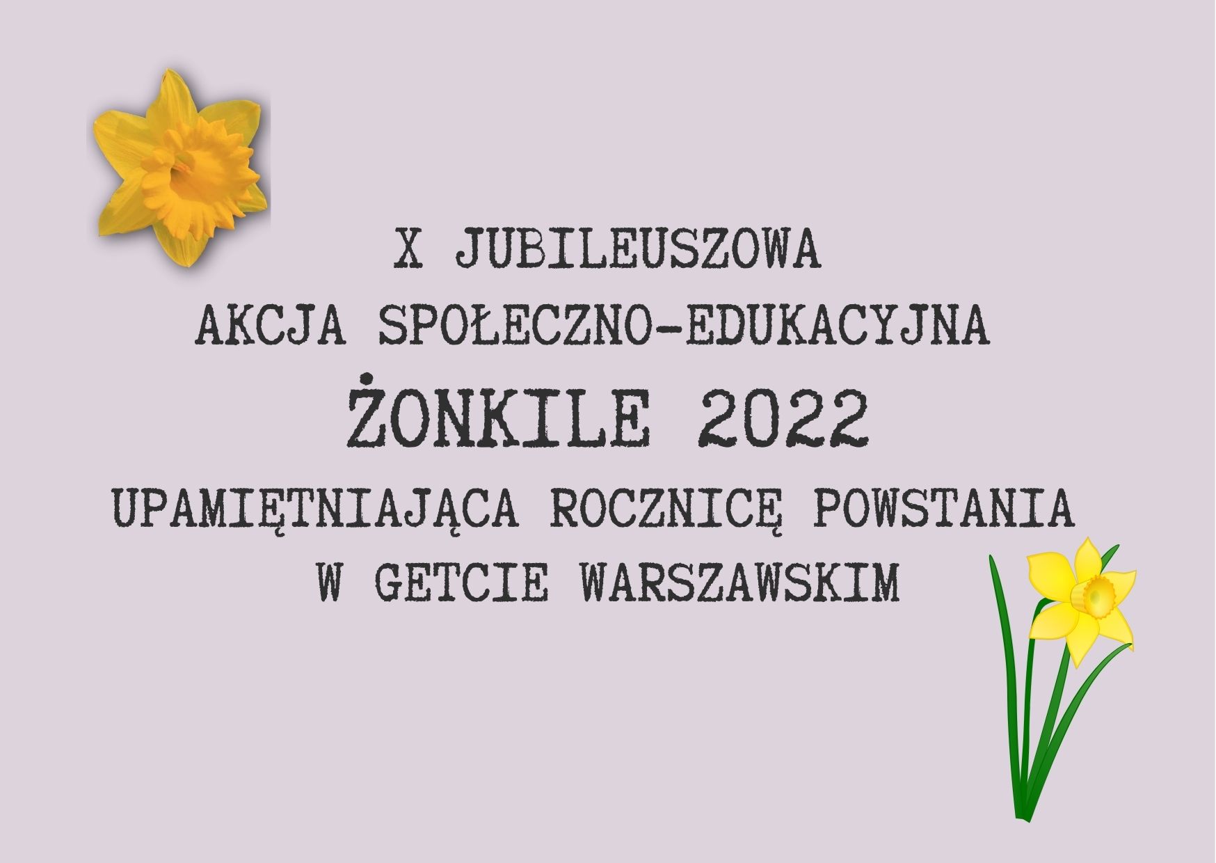 Grafika przedstawia żonkile oraz napis&quot; X Jubileuszowa Akcja Społeczno-Edukacyjna Żonkile 2022 upamiętniająca rocznicę powstania w getcie warszawskim