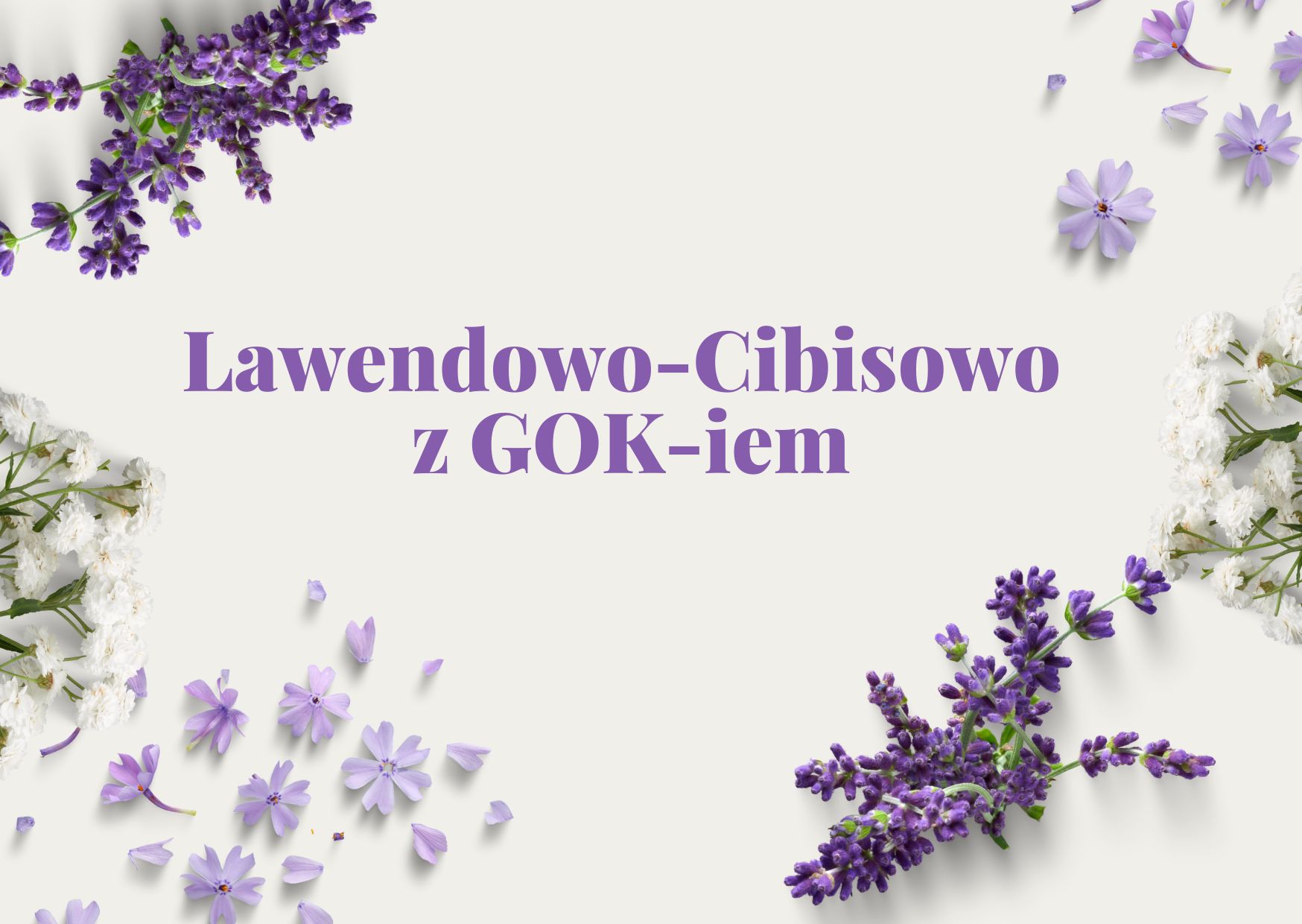 Grafika przedstawia kwiaty lawendy oraz napis: Lawendowo-cibisowo z GOK-iem