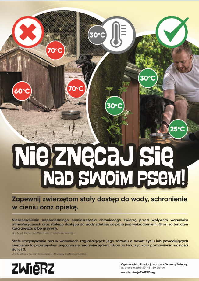 Zrzut_ekranu_2025-07-03_124445.png