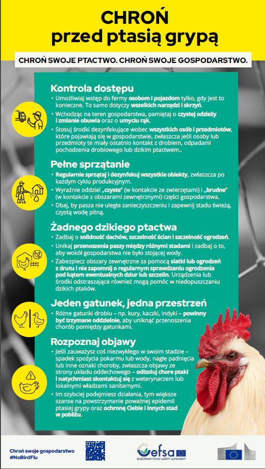 Zrzut_ekranu_2026-10-13_083432.png