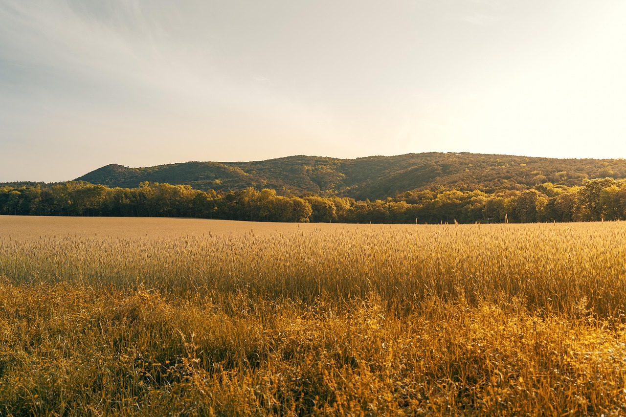 Szkolenie dla rolników z zakresu integrowanej produkcji