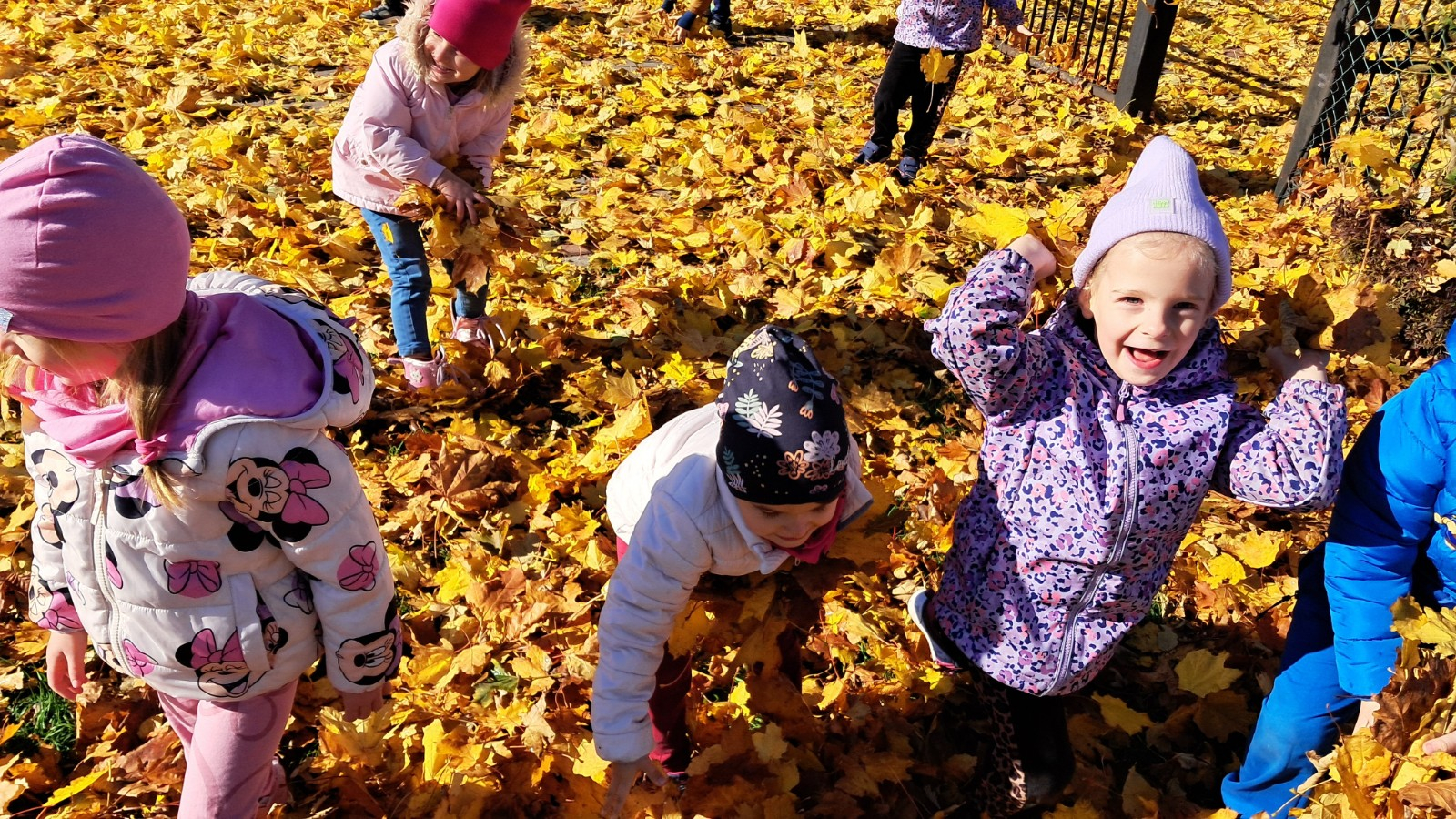 Dzieci prezentują się w tle jesiennych liści.