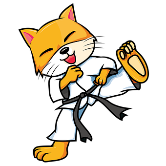 kot ćwiczący karate