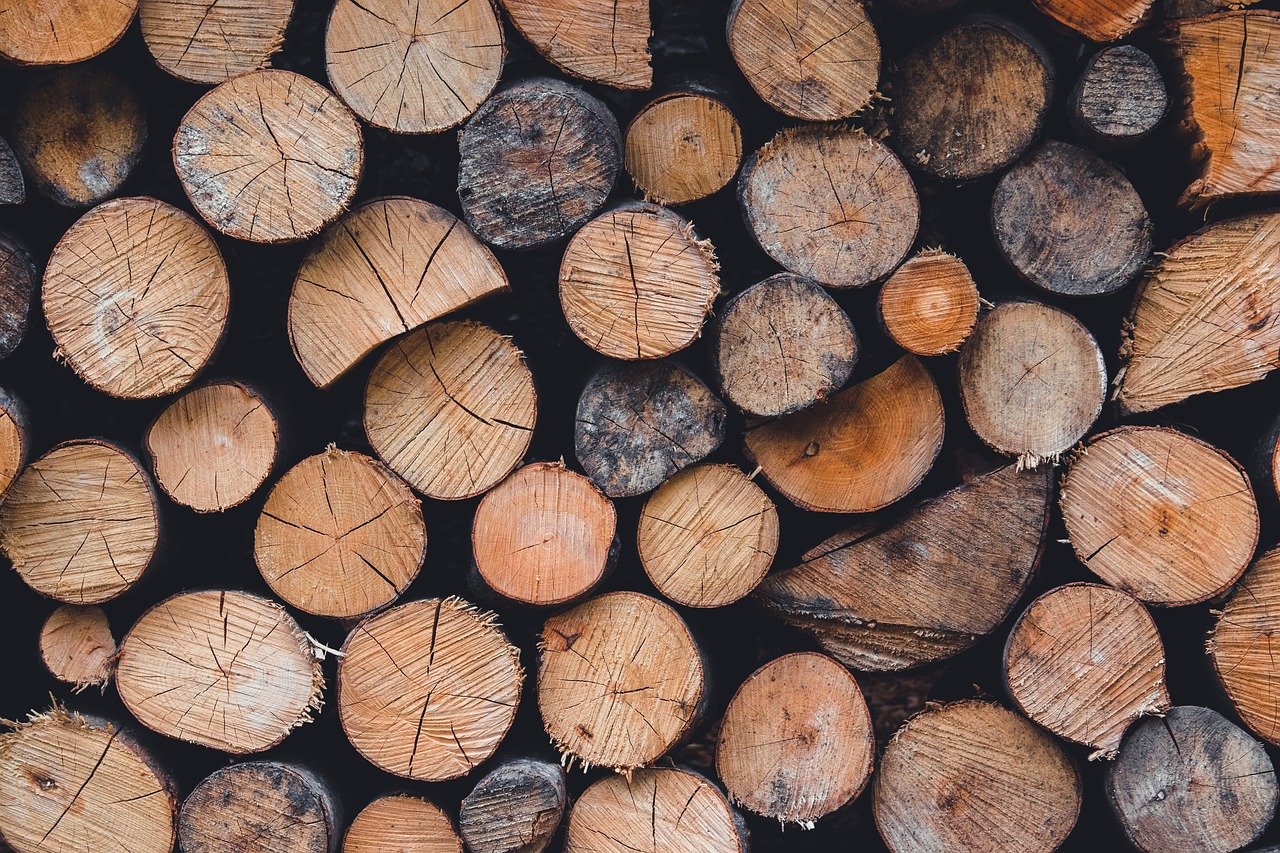 Ogłoszenie o przetargu na wycinkę drzew i sprzedaż drewna