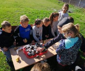 Uczniowie klas 1-3 jedzą pieczone ziemniaki na świeżym powietrzu