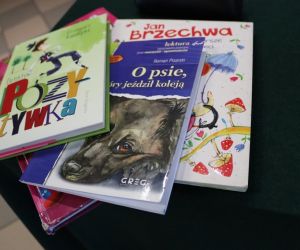 Na zdjęciu widoczne są trzy książki.