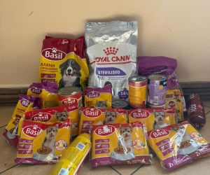 Zdjęcie przedstawia zebrane dary w postaci karmy i innych akcesoriów potrzebnych przy opiece nad zwierzętami