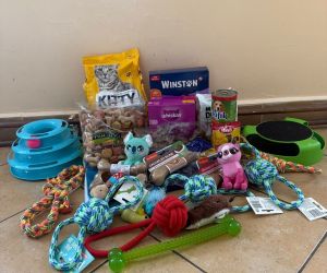 Zdjęcie przedstawia zebrane dary w postaci karmy i innych akcesoriów potrzebnych przy opiece nad zwierzętami