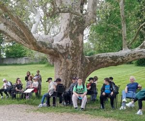 Uczestnicy wycieczki siedzą pod Platanem klonolistnym