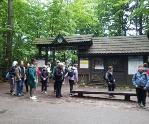 Na szlaku na Łysą Górę