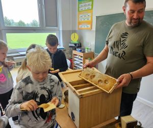 Uczniowie próbują miód z plastra