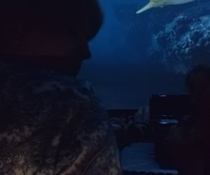 Podwodny świat w kinie sferycznym