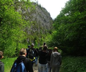 Uczniowie wchodzą do Wąwozu Homole