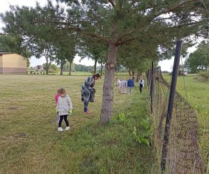 Dzieci z zerówki porządkują teren szkoły.