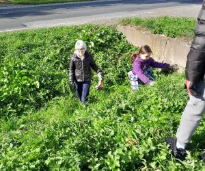 Dwoje uczniów szuka śmieci w trawie
