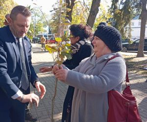 Pan Burmistrz wręcza nauczycielce sadzonkę dębu