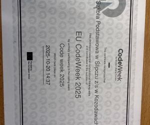 certyfikat uczestnictwa dla szkoły