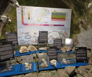 Ekspozycja prezentująca skamieniałości i informacje o historii geologicznej regionu w Chełmskich Podziemiach Kredowych.