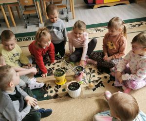 Dzieci siedzą na dywanie wokół roślin i obserwują je podczas zajęć przyrodniczych.
