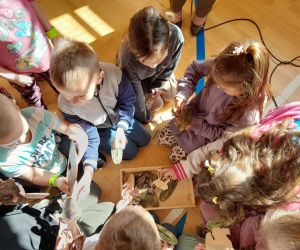 Uczniowie wyjmują z pudełka drewniane modele zwierząt leśnych