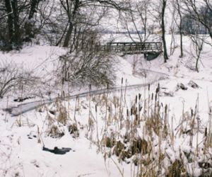 Śnieg, zamarznięta rzeka wśród krzewów i drzew, w oddali most.
