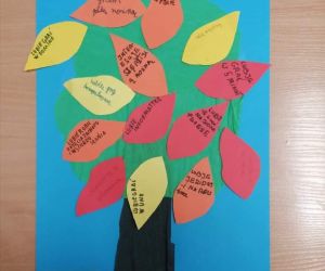 Drzewko różnic-ukazujące odmienne zainteresowania uczniów