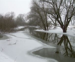 Częściowo pokryta śniegiem i lodem rzeka, drzewa i krzewy bez liści. Widok zimowy.