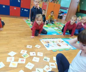 dzieci wybierają karty zdrowych produktów