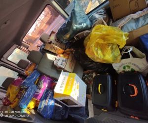 Zebrana karma i rzeczy potrzebne bezdomnym zwierzętom.