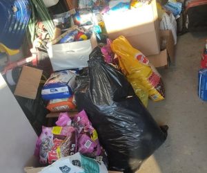 Zebrana karma i rzeczy potrzebne bezdomnym zwierzętom.