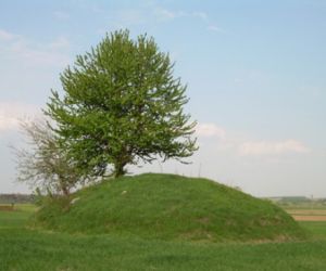 Usypany kopiec z ziemi, pokryty trawą, po lewej stronie drzewa 