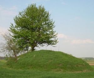 Kopiec usypany z ziemi, porośnięty trawą, po lewej stronie  dwa drzewa