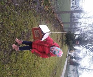 dziewczynka wsypuje ziarna pszenicy do karmnika