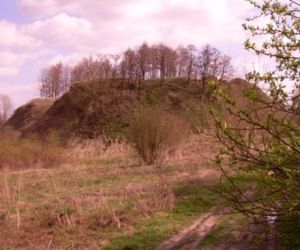 Duży kopiec porośnięty trawą na górze drzewa i krzewy