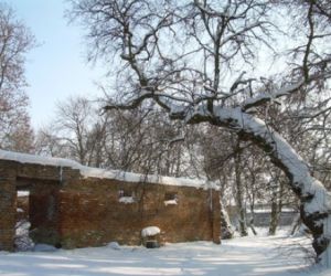 Ruiny budynku z czerwonej cegły, w tle drzewa i krzewy, wszystko pokryte śniegiem
