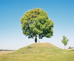 Kopiec z ziemi porośnięty trawą, mogiła, na górze rośnie drzewo, obok drzewa jest krzyż.