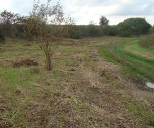 Murawa po wykoszeniu