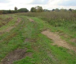 Murawa po wykoszeniu