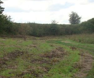 Murawa po wykoszeniu