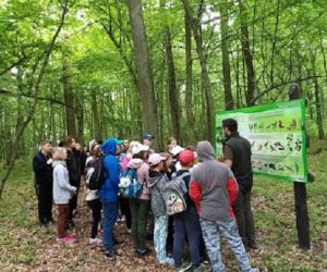 Pan leśniczy przy tablicy z informacjami opowiada uczniom o walorach przyrodniczych Lasów Strzeleckich