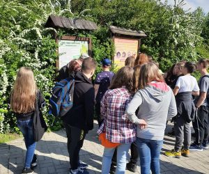 Uczniowie zapoznają się z informacjami umieszczonymi na tablicach przy wejściu do Ogrodu Botanicznego