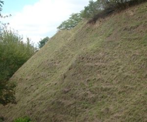 Zboczę grodziska po wypasie owiec