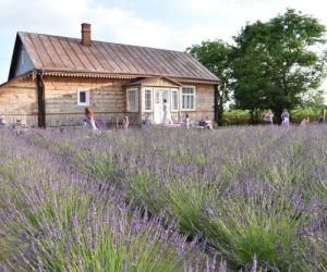 Dom przed którym znajduje się poletko lawendy.