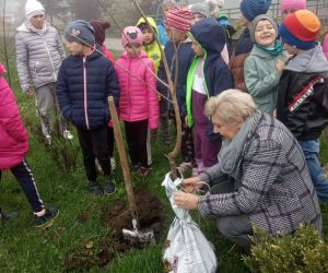 Nauczycielka z uczniami sadzą drzewo przy budynku szkoły