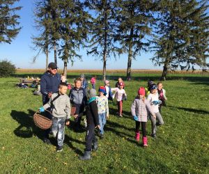 Uczniowie z Panem Wójtem wyruszają z koszykami na wykopki