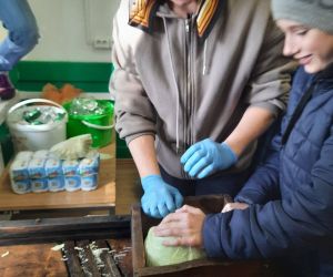 Uczeń klasy VII szatkujący kapustę