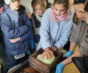 Uczennica klasy IV szatkująca kapustę