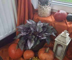 Jesienna ekspozycja w budynku CIS