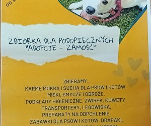 Plakat informujący o zbiórce dla zwierząt